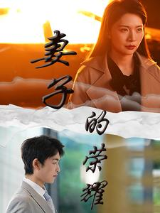 妻子的荣耀（40集）经典回顾免费看