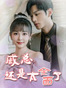 戚总今天追到夫人了么（57集）集免费看短剧