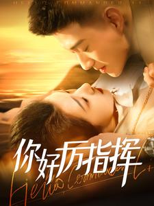 你好厉指挥（100集）真的太好看了