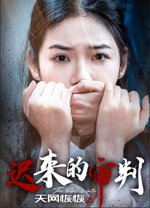 天网恢恢之迟来的审判（31集）在线观看