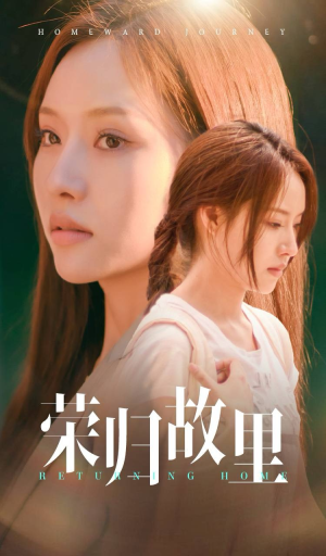 荣归故里（50集）去哪里看