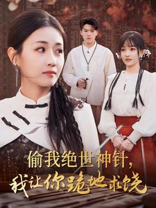 偷我绝世神针，我让你跪地求饶（30集）全集一次看完