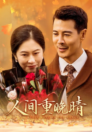 人间重晚情（38集）热播短剧追不停