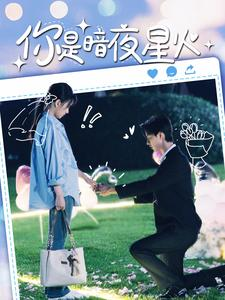 你是暗夜星火（120集）短剧前十排行榜