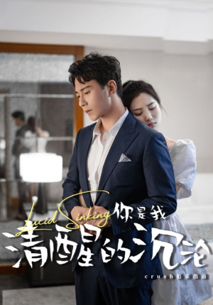 你是我清醒的沉沦(48集) 你是我清醒的沉沦(48集)零花钱看整部剧