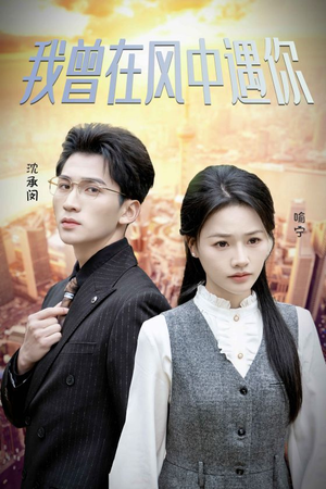 我曾在风中遇你（30集）全集
