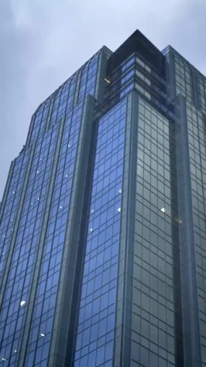 你与温柔共存（89集）免费观看