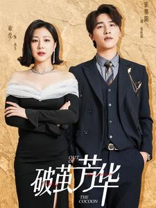 破茧芳华(80集) 破茧芳华(80集)在哪里可以全集