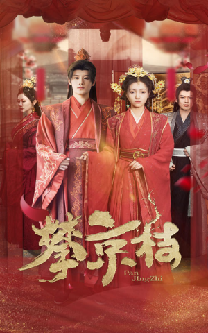 攀京枝（62集）观看软件