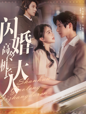 闪婚高冷机长大人（92集）短剧太精彩