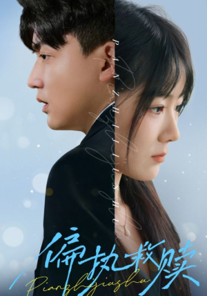 偏执救赎（30集）最新热剧免费看