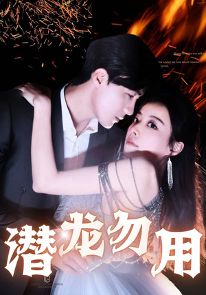 潜龙勿用（87集）全集一网打尽