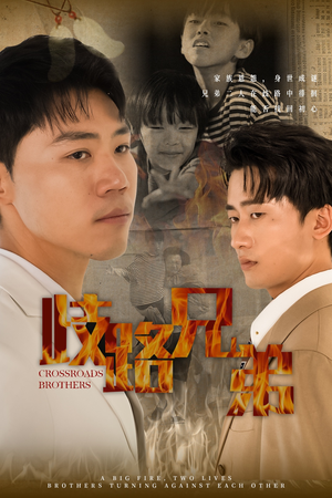 歧路兄弟（63集）这短剧太好看了