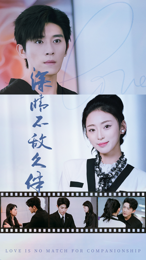 深情不敌久伴（50集）最新热剧免费看