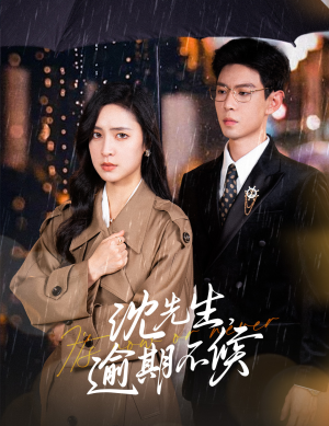 沈先生，逾期不候（75集）快来看短剧