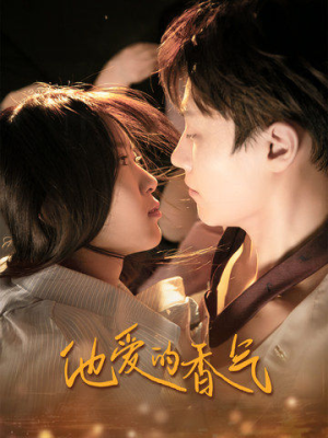 他爱的香气（81集）免费看全网短剧