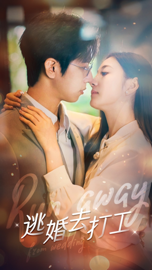 逃婚去打工（65集）百度网盘资源