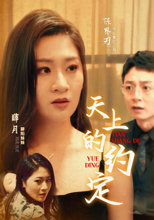 天上的约定（24集）全剧免费观看