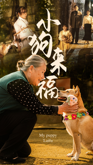 小狗来福（30集）热门短剧分享