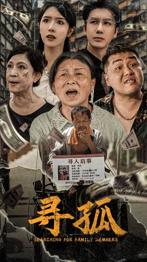 寻孤（78集）超好看短剧推荐