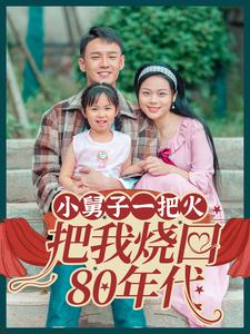 小舅子一把火把我烧回80年代（100集）视频在线看