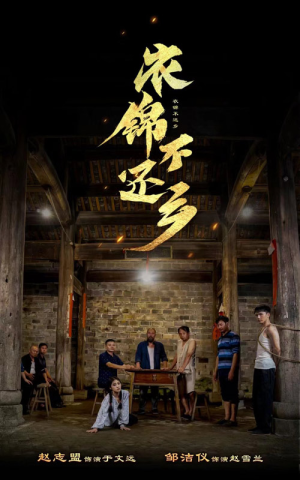 衣锦不还乡（69集）全集一次看完