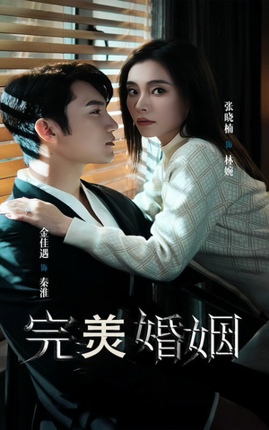 完美婚姻（65集）网盘在线观看
