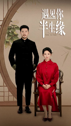遇见你半生缘（65集）演的怎么样