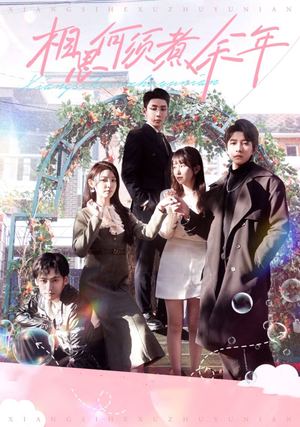 相思何须煮余年（33集）超好看的短剧