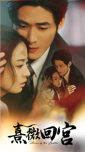 熹微回宫（61集）全集一网打尽