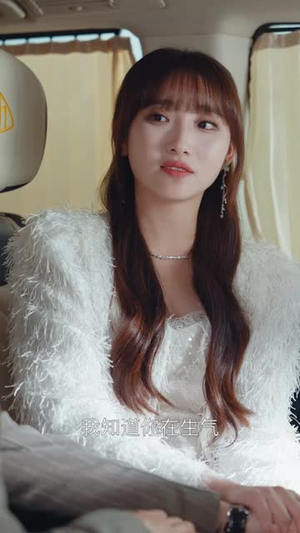 夏阳的轮回（85集）短剧排行榜