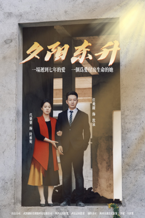 夕阳东升（30集）在线看到大结局