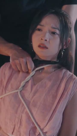 遗失的心跳（56集）短剧太好看