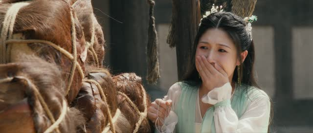 云天悬明月（24集）追短剧太上头了