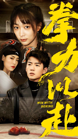 拳力以赴（80集）短剧看全集