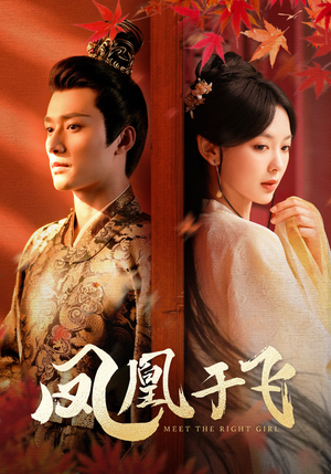 凤凰于飞（79集）悬疑短剧推荐