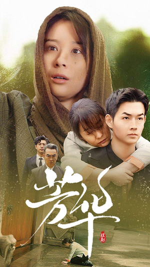 芳华（80集）每天短剧分享