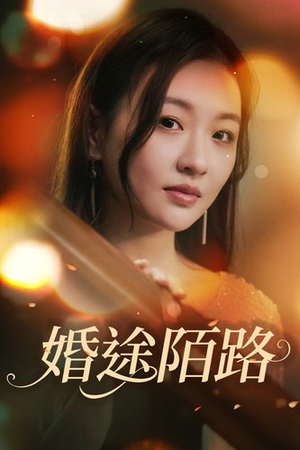 婚途陌路（15集）免费在线看