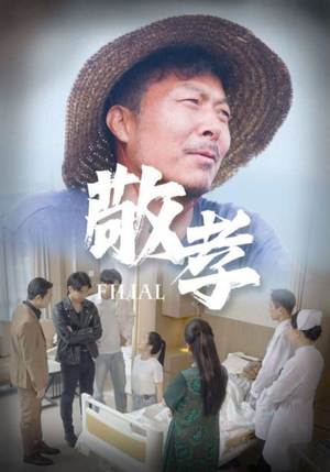 敬孝(61集) 敬孝(61集)全部免费看全集