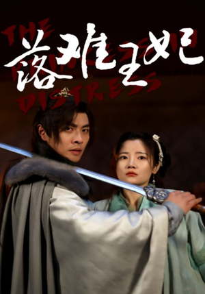 落难王妃(70集) 落难王妃(70集)全集在线看