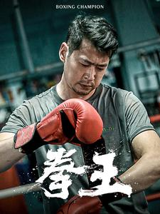 拳王（72集）高分推荐免费看