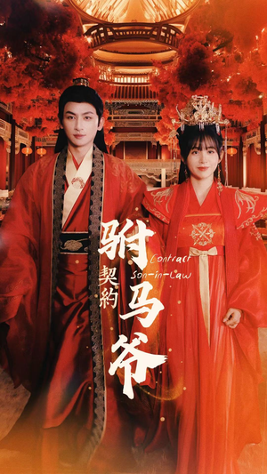 契约驸马爷（74集）在哪里可以全集