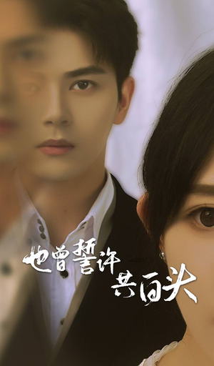 也曾誓许共白头（60集）精彩好看短剧