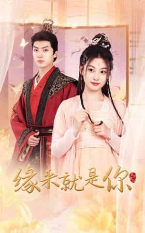 缘来就是你(65集) 缘来就是你(65集)最新热剧免费看