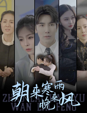 朝来寒雨晚来风（87集）好看吗
