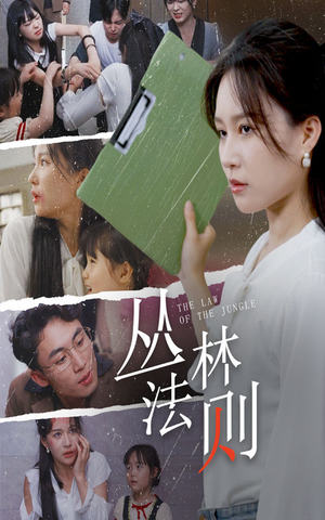 丛林法则（29集）网盘在线观看