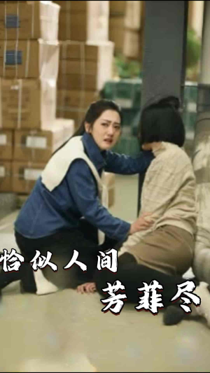 恰似人间芳菲尽（68集）夸克网盘观看