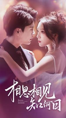 相思相见知何日（81集）女频短剧推荐