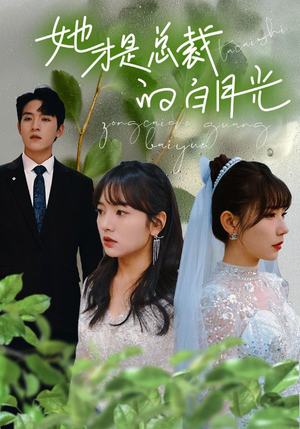 她才是总裁的白月光（90集）免费在线看
