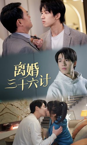 离婚三十六计（96集）精彩短剧上线